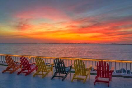 Villa The Hemingway Subtropical Luxury On The Tampa Bay Esterno foto